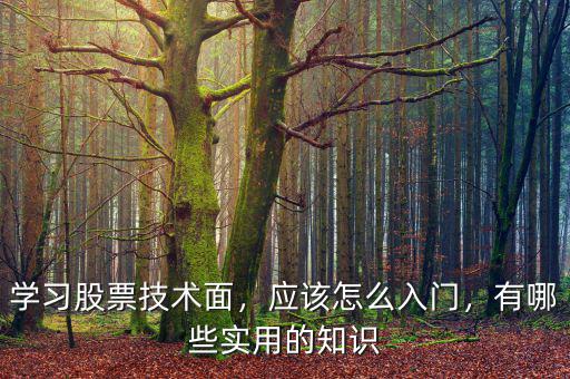 學(xué)習(xí)股票技術(shù)面，應(yīng)該怎么入門，有哪些實(shí)用的知識