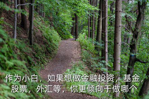 作為小白，如果想做金融投資，基金，股票，外匯等，你更傾向于做哪個(gè)