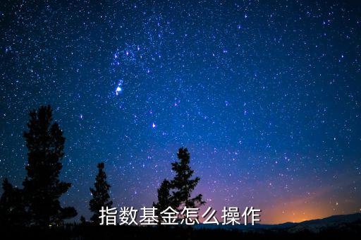 基金是怎么操作的,指數(shù)基金怎么操作