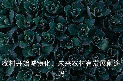 農(nóng)村開始城鎮(zhèn)化，未來農(nóng)村有發(fā)展前途嗎