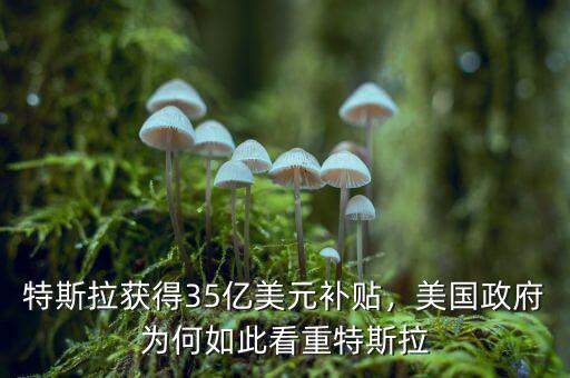 特斯拉獲得35億美元補貼，美國政府為何如此看重特斯拉