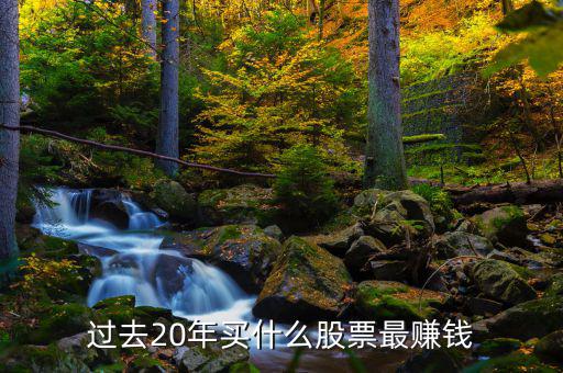 過(guò)去20年買什么股票最賺錢