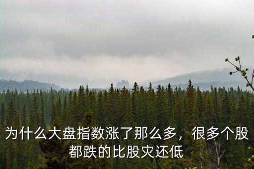 為什么大盤指數(shù)漲了那么多，很多個(gè)股都跌的比股災(zāi)還低