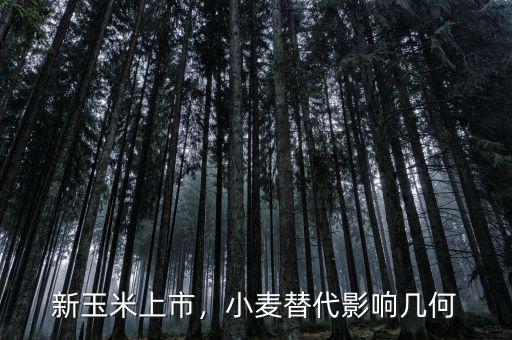 新玉米上市，小麥替代影響幾何