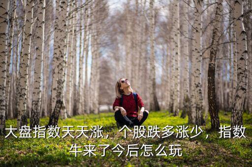 大盤指數(shù)天天漲，個股跌多漲少，指數(shù)牛來了今后怎么玩