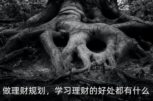 理財有什么做用,學(xué)會理財有什么好處