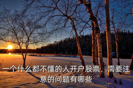 一個什么都不懂的人開戶股票，需要注意的問題有哪些