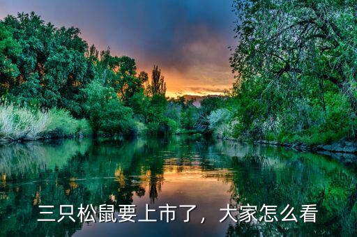 三只松鼠要上市了，大家怎么看