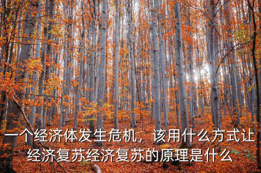一個(gè)經(jīng)濟(jì)體發(fā)生危機(jī)，該用什么方式讓經(jīng)濟(jì)復(fù)蘇經(jīng)濟(jì)復(fù)蘇的原理是什么