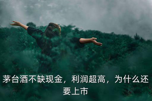 茅臺酒不缺現(xiàn)金，利潤超高，為什么還要上市