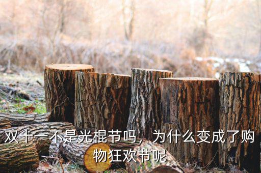 雙十一不是光棍節(jié)嗎，為什么變成了購(gòu)物狂歡節(jié)呢