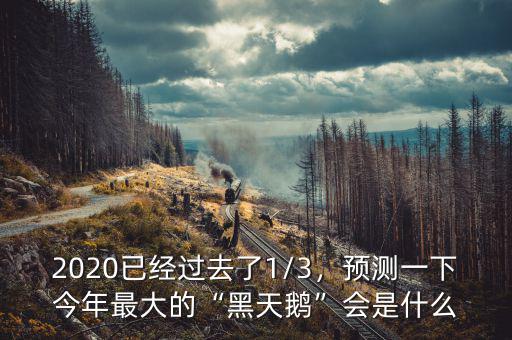 2020已經(jīng)過(guò)去了1/3，預(yù)測(cè)一下今年最大的“黑天鵝”會(huì)是什么