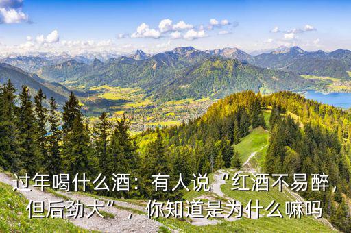 過年喝什么酒：有人說“紅酒不易醉，但后勁大”，你知道是為什么嘛嗎