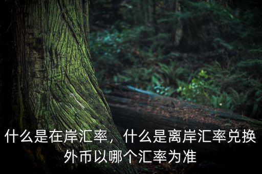 什么是在岸匯率，什么是離岸匯率兌換外幣以哪個(gè)匯率為準(zhǔn)