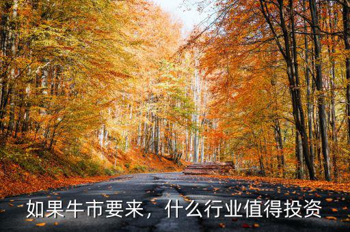 如果牛市要來，什么行業(yè)值得投資