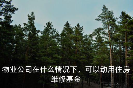 物業(yè)公司在什么情況下，可以動用住房維修基金