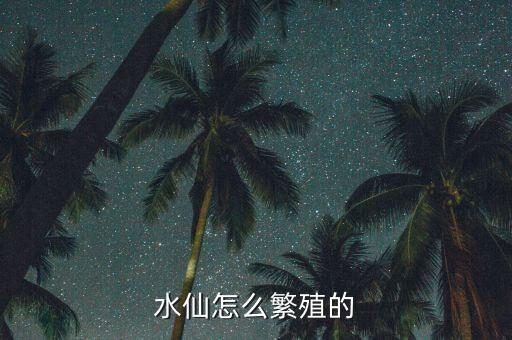 水仙怎么繁殖的