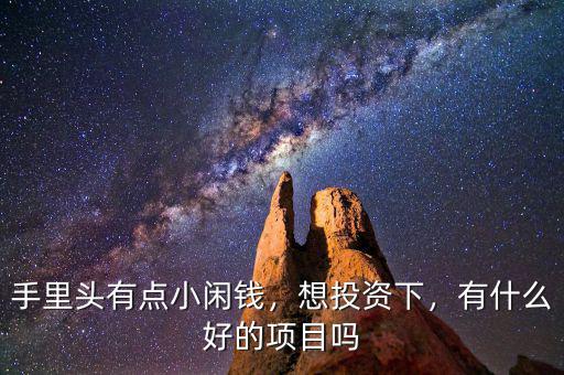 手里頭有點小閑錢，想投資下，有什么好的項目嗎