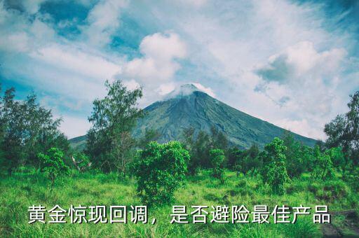 黃金驚現(xiàn)回調(diào)，是否避險(xiǎn)最佳產(chǎn)品