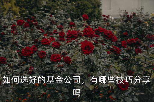 如何選好的基金公司，有哪些技巧分享嗎
