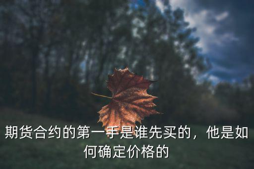 期貨合約的第一手是誰(shuí)先買的，他是如何確定價(jià)格的