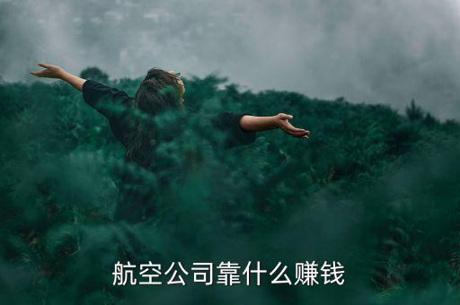 ota靠什么賺錢,航空公司靠什么賺錢