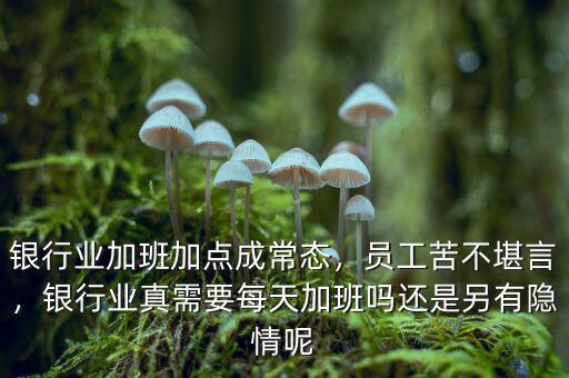 銀行業(yè)加班加點成常態(tài)，員工苦不堪言，銀行業(yè)真需要每天加班嗎還是另有隱情呢