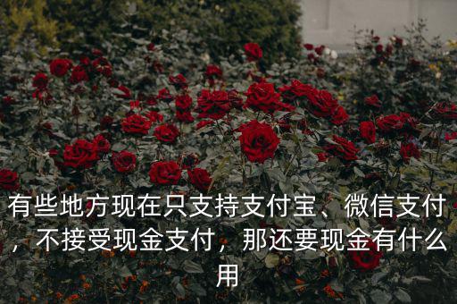 有些地方現(xiàn)在只支持支付寶、微信支付，不接受現(xiàn)金支付，那還要現(xiàn)金有什么用