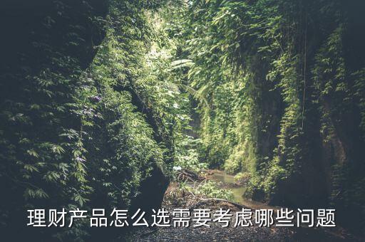 理財(cái)產(chǎn)品怎么選需要考慮哪些問題