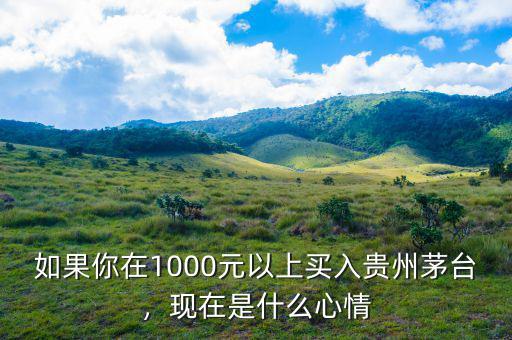 如果你在1000元以上買入貴州茅臺(tái)，現(xiàn)在是什么心情