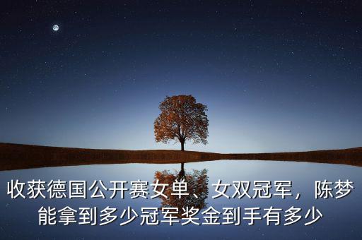 中網(wǎng)女單冠軍獎金多少,冠軍竟能獲百萬獎金
