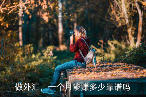 做外匯，一個(gè)月能賺多少靠譜嗎