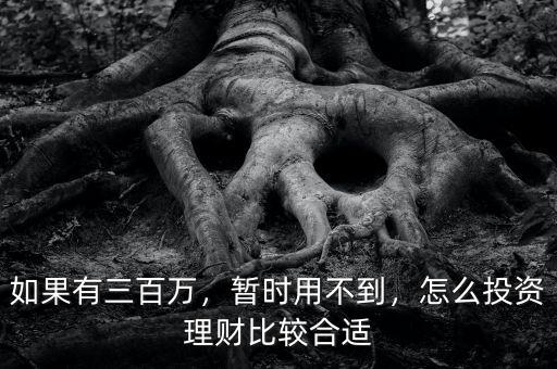 如果有三百萬(wàn)，暫時(shí)用不到，怎么投資理財(cái)比較合適