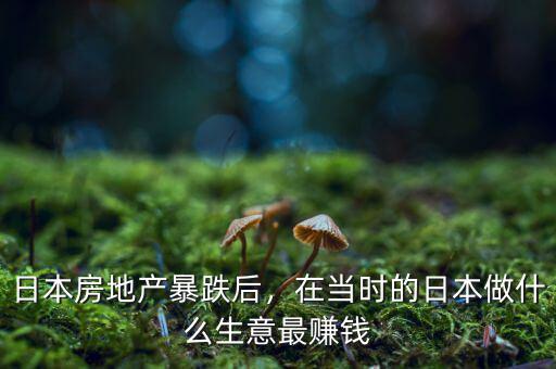 日本房地產(chǎn)暴跌后，在當時的日本做什么生意最賺錢