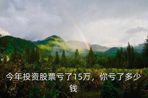 今年投資股票虧了15萬，你虧了多少錢