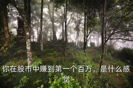 你在股市中賺到第一個百萬，是什么感覺