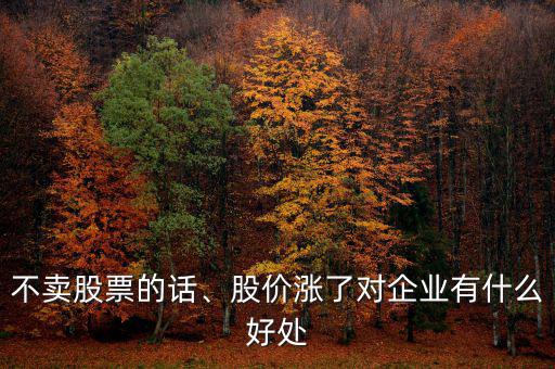 不賣股票的話、股價(jià)漲了對(duì)企業(yè)有什么好處
