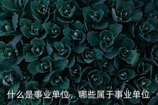 什么是事業(yè)單位，哪些屬于事業(yè)單位