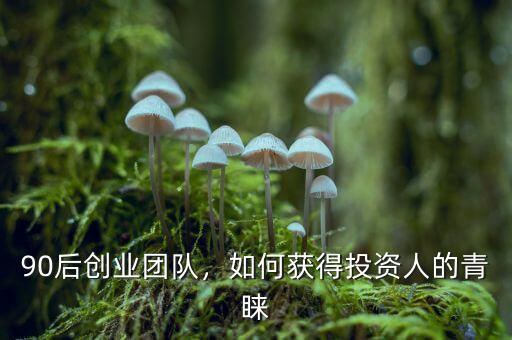 90后創(chuàng)業(yè)團(tuán)隊(duì)，如何獲得投資人的青睞