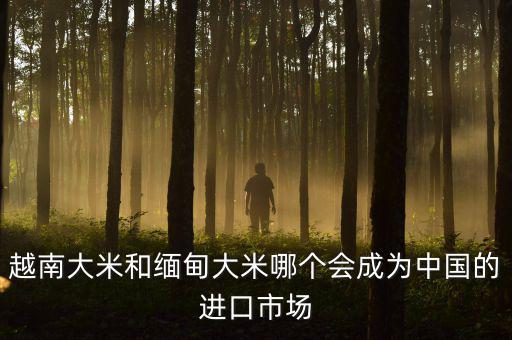 越南大米和緬甸大米哪個會成為中國的進(jìn)口市場