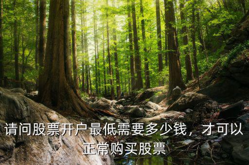 請問股票開戶最低需要多少錢，才可以正常購買股票