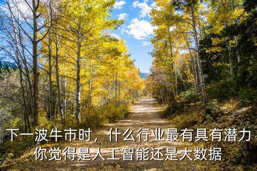 下一波牛市時(shí)，什么行業(yè)最有具有潛力你覺得是人工智能還是大數(shù)據(jù)