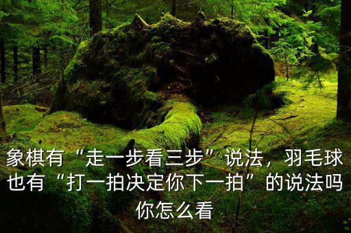 象棋有“走一步看三步”說法，羽毛球也有“打一拍決定你下一拍”的說法嗎你怎么看
