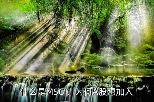 什么是MSCI，為何A股想加入