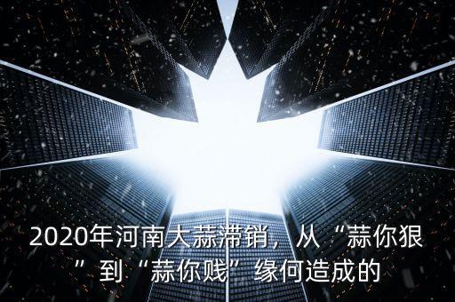 2020年河南大蒜滯銷(xiāo)，從“蒜你狠”到“蒜你賤”緣何造成的