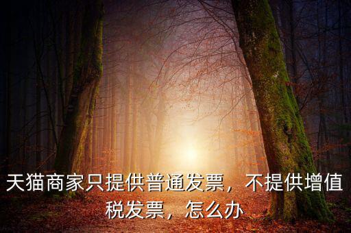 天貓商家只提供普通發(fā)票，不提供增值稅發(fā)票，怎么辦