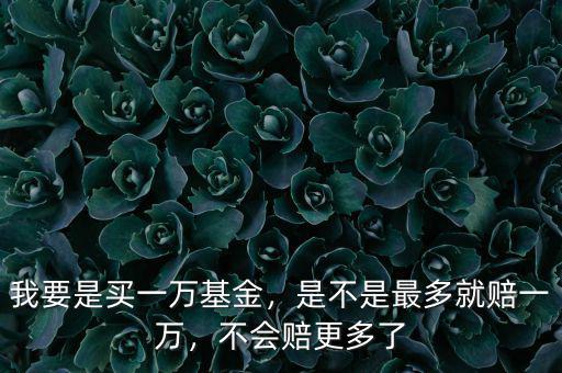 我要是買(mǎi)一萬(wàn)基金，是不是最多就賠一萬(wàn)，不會(huì)賠更多了
