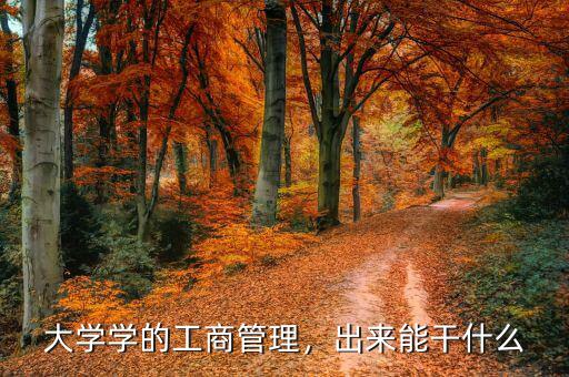 大學(xué)學(xué)的工商管理，出來能干什么