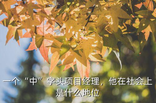 一個“中”字頭項目經理，他在社會上是什么地位