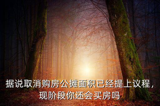 據(jù)說取消購房公攤面積已經(jīng)提上議程，現(xiàn)階段你還會買房嗎